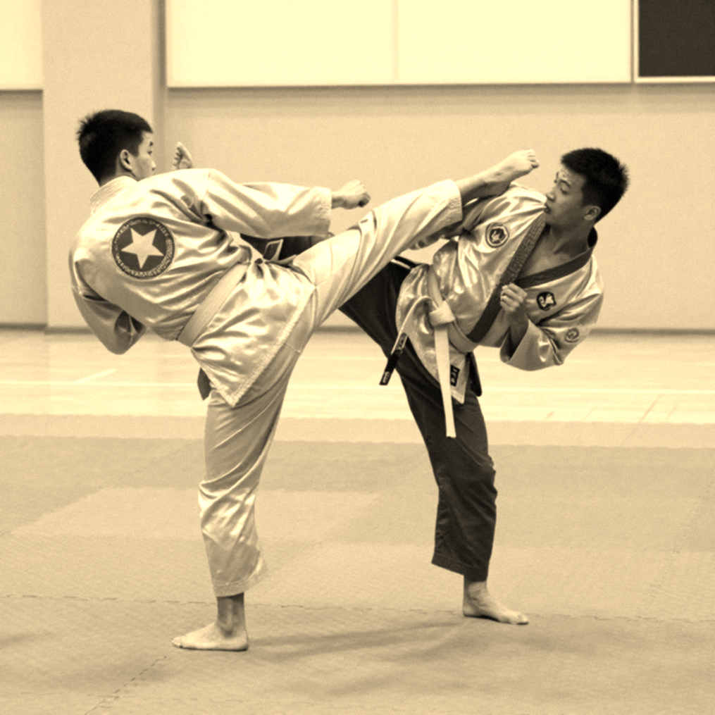 HCV ASIAD đầu tiên của karate Việt Nam: Cú nhảy từ hạng 25 lên 12 và vị trí thứ ba Đông Nam Á